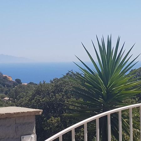 Bas De Villa Chez Mr.Girolami Dominique Bastia (Corsica) Exterior foto