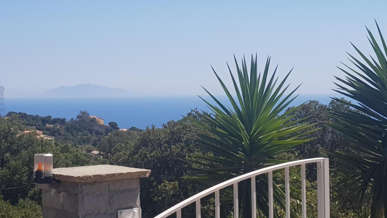 Bas De Villa Chez Mr.Girolami Dominique Bastia (Corsica) Exterior foto