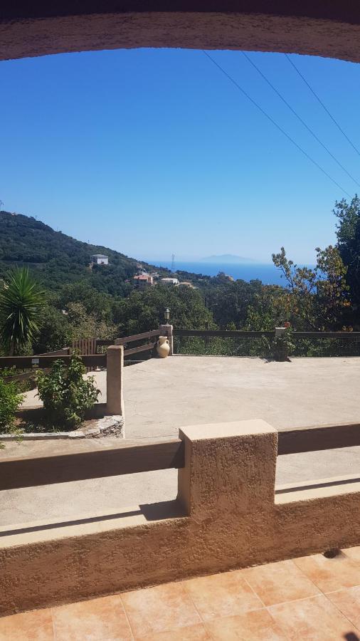 Bas De Villa Chez Mr.Girolami Dominique Bastia (Corsica) Exterior foto